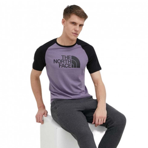 Фото Чоловіча футболка North Face S/S RAGLAN EA NF0A37FVN141 - зображення 5