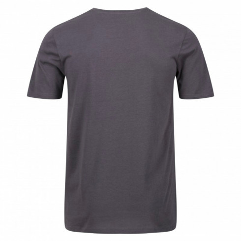 Фото Чоловіча спортивна футболка Regatta Tait RMT218-038 - зображення 2