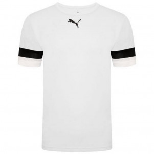 Чоловіча футболка Puma teamRISE Jersey 704932-04