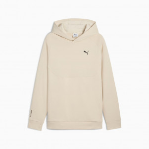 Чоловічі худі Puma PUMATECH Hoodie 684600-87