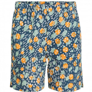 Шорти дитячі Jack Wolfskin VILLI PRINT SHORTS K 1610031_1287