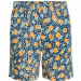 Фото Шорти дитячі Jack Wolfskin VILLI PRINT SHORTS K 1610031_1287 - зображення 1