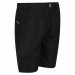 Фото Шорти Regatta Sorcer Shorts II RKJ106-800 - зображення 3