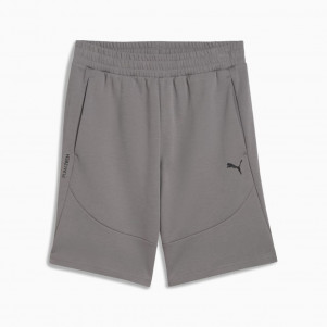 Чоловічі шорти Puma PUMATECH 9" Shorts 684603-79