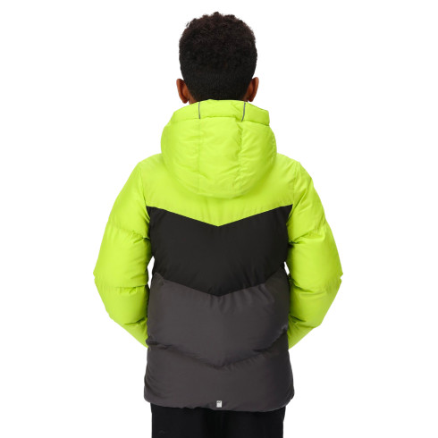 Фото Пуховик дитячий cинтетичний Regatta Lofthouse VI RKN131-ZWC - зображення 2