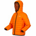 Фото Дитяча прошита куртка Regatta JnrHoodedMarizion RKN148-P6Z - зображення 5