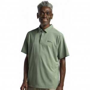 Чоловічій поло Jack Wolfskin DELGAMI POLO M 1809801_4029