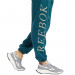 Фото Жіночі штани Reebok CLASSICS GRAPHIC FLEECE H43027 - зображення 4