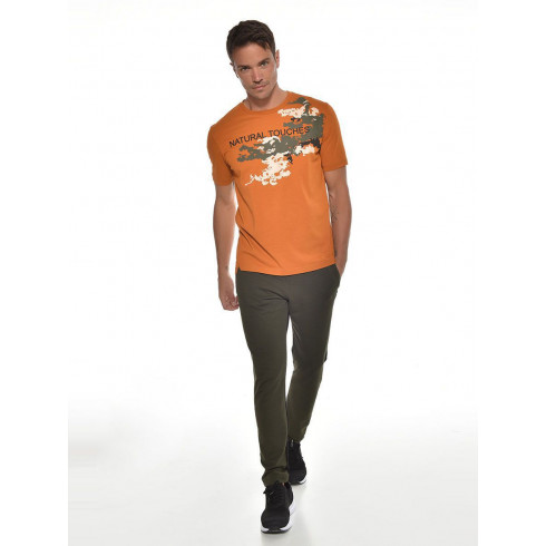 Фото Чоловіча футболка Bilcee TB21MF07S9230-1625 - зображення 7