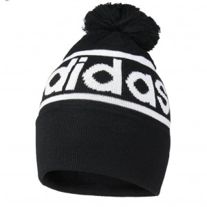 Шапка Adidas Logo Pom Woolie ED0239