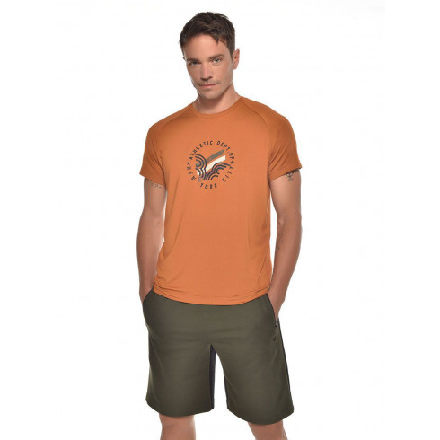 Фото Чоловіча футболка Bilcee TB21MF07S9232-1625 - зображення 6