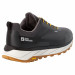 Фото Чоловічі трекінгові кросівки Jack Wolfskin TERRASHELTER LOW M 4053821_6364 - зображення 4