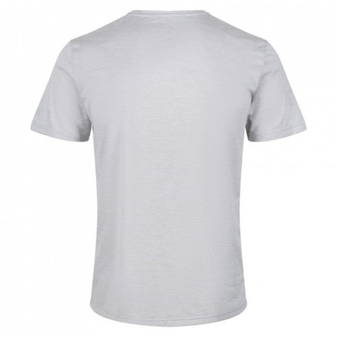 Фото Чоловіча спортивна футболка Regatta Fingal Edition RMT237-033 - зображення 4