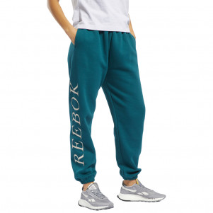 Жіночі штани Reebok CLASSICS GRAPHIC FLEECE H43027