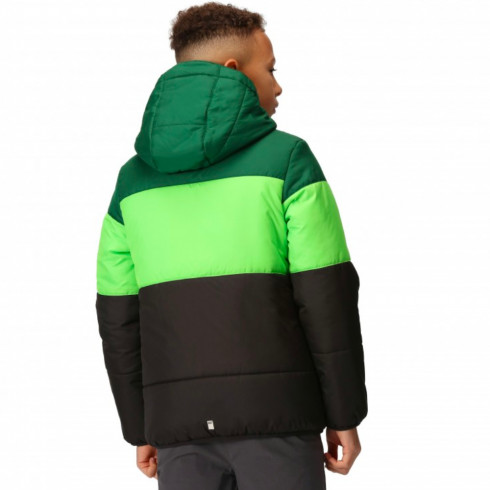 Фото Дитячий синтетичний пуховик Regatta Lofthouse VII RKN144-VZU - зображення 2