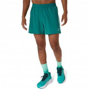 Чоловічі шорти ASICS ROAD 5 IN SHORT 2011D247-301