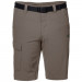 Фото Шорти Jack Wolfskin Hoggar Shorts 1503781-5116 - зображення 1