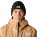 Фото Шапка The North Face NF0A3FJWJK31 - зображення 4
