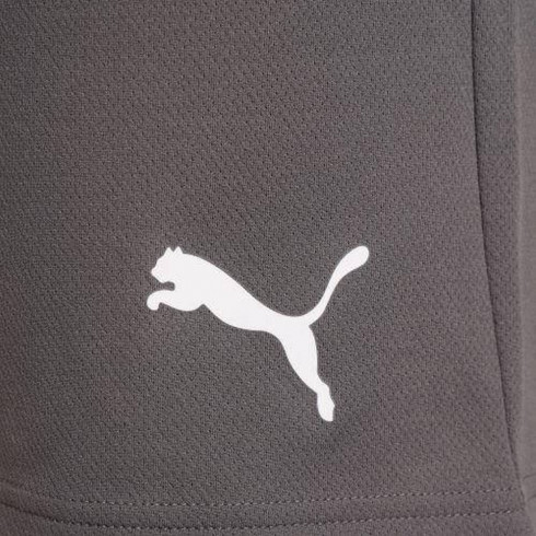 Фото Чоловічі шорти Puma teamRISE Short 704942-13 - зображення 9