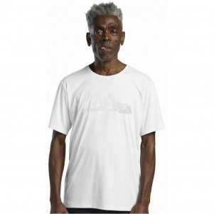Чоловіча футболка Jack Wolfskin PEAK GRAPHIC T M A63269_T0274