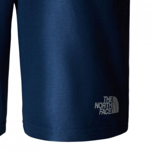 Фото Чоловічі шорти The North Face STANDARD SHORT NF0A3S4EHDC1 - зображення 5